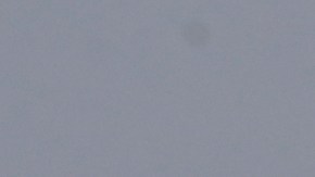 el vuelo se retrasó 56 minutos mientras la tripulación y los pasajeros lidiaban con los inesperados intrusos.