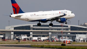 el vuelo se retrasó 56 minutos mientras la tripulación y los pasajeros lidiaban con los inesperados intrusos.