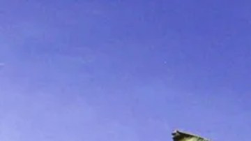 Soldados colombianos patrullando una plantación de bananas en el año 2000.