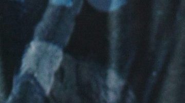 Saúl 'Canelo' Álvarez