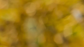 El comino es una planta valiosa en el mundo espiritual.