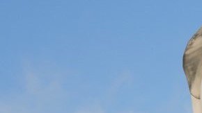 La pareja llevaba cuatro años viviendo en Oregón sin autorización migratoria, aunque ambos trabajaban de manera constante y no tenían antecedentes penales.