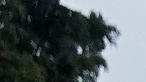 Un panel federal de apelaciones ha dificultado la aplicación de la Ley de Derecho al Voto en siete estados.