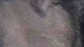 This June 15, 2018, photo shows U.S. currency on a counter in East Derry, N.H. (AP Photo/Charles Krupa)