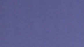 Elizabeth Gutiérrez