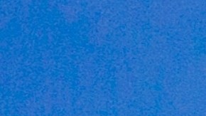 la explosión ocurrió cuando el conductor de la embarcación intentó volver a encender el motor para regresar a tierra.