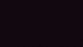 las autoridades afirmaron haber encontrado "varias fotos y videos de Guminski con el animal maltratado"