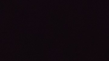 las autoridades afirmaron haber encontrado "varias fotos y videos de Guminski con el animal maltratado"