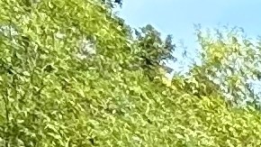 a policía de Flower Mound continúa llevando a cabo una investigación para esclarecer las circunstancias exactas de este trágico accidente.