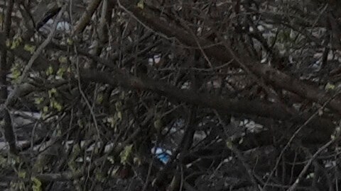 Algunas regiones podrían experimentar vientos dañinos, granizo de gran tamaño y la posibilidad de formación de tornados