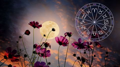La luna llena de Flores, que tradicionalmente ocurre en mayo, afecta a todos los signos.