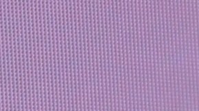 Migbelis Castellanos