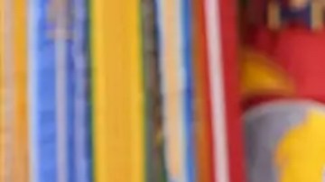 Elon Musk da un paso al costado del gobierno de Trump.