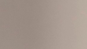 El papa León XIV hizo el primer nombramiento de un obispo para EE.UU.