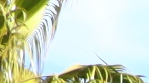 Tres personas resultaron heridas, una de ellas en estado crítico.