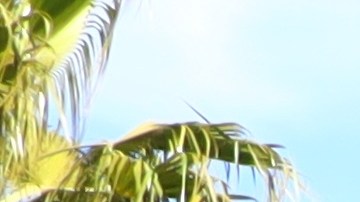 Tres personas resultaron heridas, una de ellas en estado crítico.