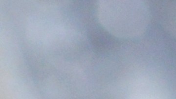 Así es el dólar presidencial Martin Van Buren 2008 que buscan los coleccionistas