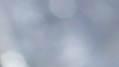 Así es el dólar presidencial Martin Van Buren 2008 que buscan los coleccionistas