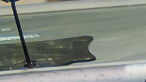 FDA retira del mercado ostras congeladas por posible contaminación con norovirus