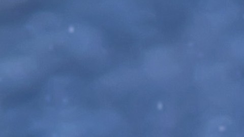 El instinto materno está más desarrollado en ciertos signos, según la astrología.