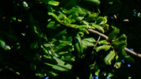 José Sánchez, Ahida Rivas y David Lozano han experimentado el impacto de la falta de personal en los supermercados de L.A.