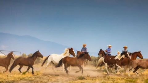 Para experimentar la vida en un entorno vaquero no hace falta viajar a Estados Unidos.