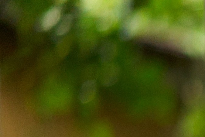 Virgo tendrá claridad mental este mes.