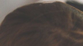 A veces, esta situación puede causar algo de humor.