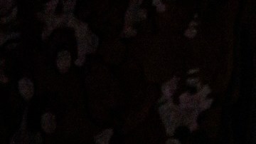 Swan Lake Opening Night