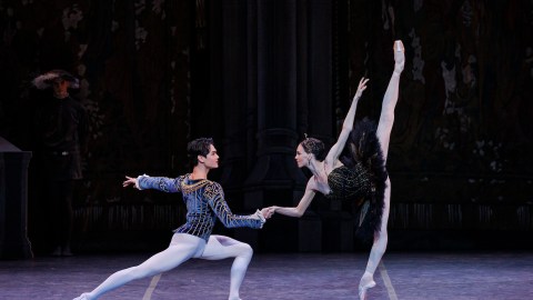 Swan Lake Opening Night