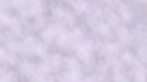 Fey regresa a los Estados Unidos con su nueva gira.