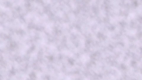 Fey regresa a los Estados Unidos con su nueva gira.
