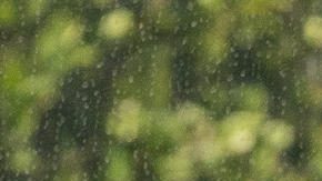 EVE6411. LOS ÁNGELES (ESTADOS UNIDOS), 23/06/2025.- El entrenador del Atlético de Madrid, Diego Simeone, reacciona este lunes, a un partido del Mundial de Clubes entre el Atlético de Madrid y Botafogo en el estadio Rose Bowl en Los Ángeles (Estados Unidos). EFE/Ángel Colmenares