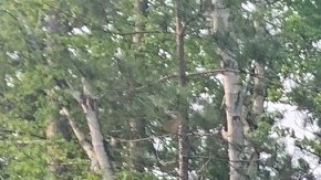 Ambos fueron vistos por última vez la mañana del domingo en el área de Katahdin Tablelands, dirigiéndose hacia la cumbre.