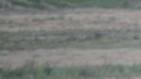 La piedra angular de la OTAN es proporcionar defensa mutua a sus aliados a través de medios políticos y militares contra amenazas externas.