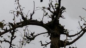 Trabajadores de los servicios de emergencia extinguen el fuego entre los escombros de una casa destruida por proyectil ruso en Kiev.