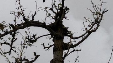 Trabajadores de los servicios de emergencia extinguen el fuego entre los escombros de una casa destruida por proyectil ruso en Kiev.