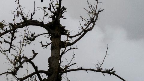 Trabajadores de los servicios de emergencia extinguen el fuego entre los escombros de una casa destruida por proyectil ruso en Kiev.