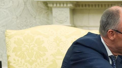 Merz elogió a Trump como la "persona clave en el mundo" para poner fin a la invasión rusa de Ucrania
