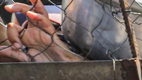 La GHF, que es una organización privada respaldada por EE.UU. e Israel, se encarga de distribuir ayuda humanitaria en Gaza.