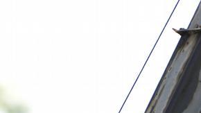 Hallan la segunda caja negra del avión siniestrado en India