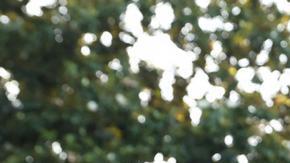 Trump y Zelenski se reunirán en la cumbre de la OTAN