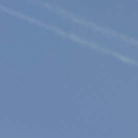 5 artículos de lujo que no imaginabas que podrías comprar en Costco por menos