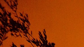 Muere el presunto responsable del tiroteo que mató a dos bomberos en un incendio en EEUU