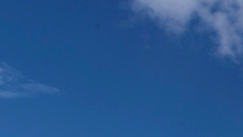 La Corte Suprema no tomó una decisión final sobre la ciudadanía por nacimiento.