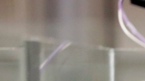 CBP y otras agencias buscan aplicar con rectitud las nuevas estrategias migratorias impulsadas por el presidente Donald Trump.