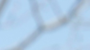 GEO Group opera varias prisiones de ICE.