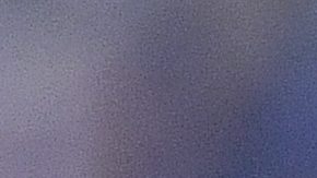 Bayern's Robert Lewandowski shouts during the German Bundesliga soccer match between FC Schalke 04 and Bayern Munich in Gelsenkirchen, Germany, Saturday, Aug. 24, 2019. (AP Photo/Martin Meissner)