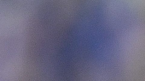 Bayern's Robert Lewandowski shouts during the German Bundesliga soccer match between FC Schalke 04 and Bayern Munich in Gelsenkirchen, Germany, Saturday, Aug. 24, 2019. (AP Photo/Martin Meissner)