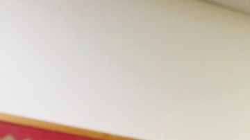 Estudiantes de los 50 estados podrían no tener programas bilingües.